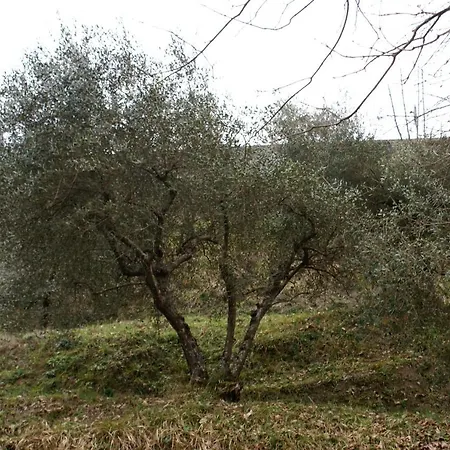 Tradizione Toscana Ristrutturata Nel 2021 バルガ