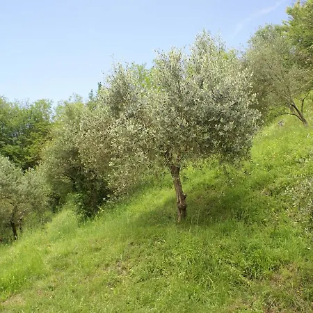 Tradizione Toscana Ristrutturata Nel 2021 Chalet *