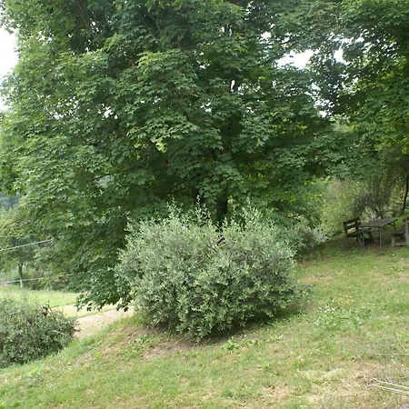Tradizione Toscana Ristrutturata Nel 2021 Chalet *