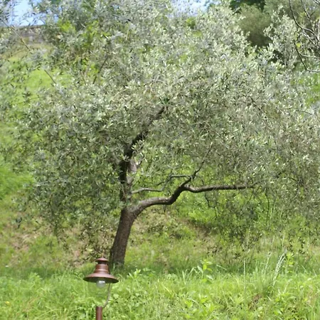 Tradizione Toscana Ristrutturata Nel 2021 Barga