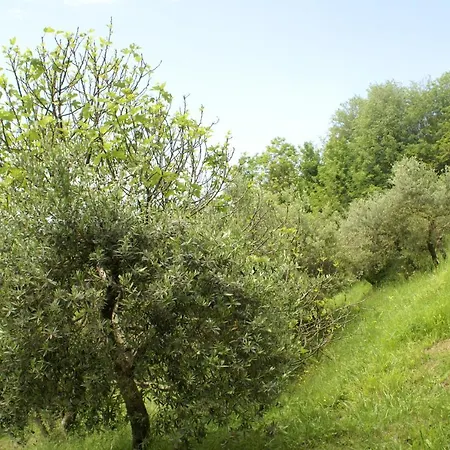 Chalet Tradizione Toscana Ristrutturata Nel 2021 *