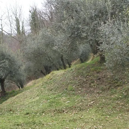 Tradizione Toscana Ristrutturata Nel 2021 Chalet Barga