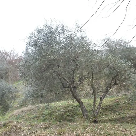 Tradizione Toscana Ristrutturata Nel 2021